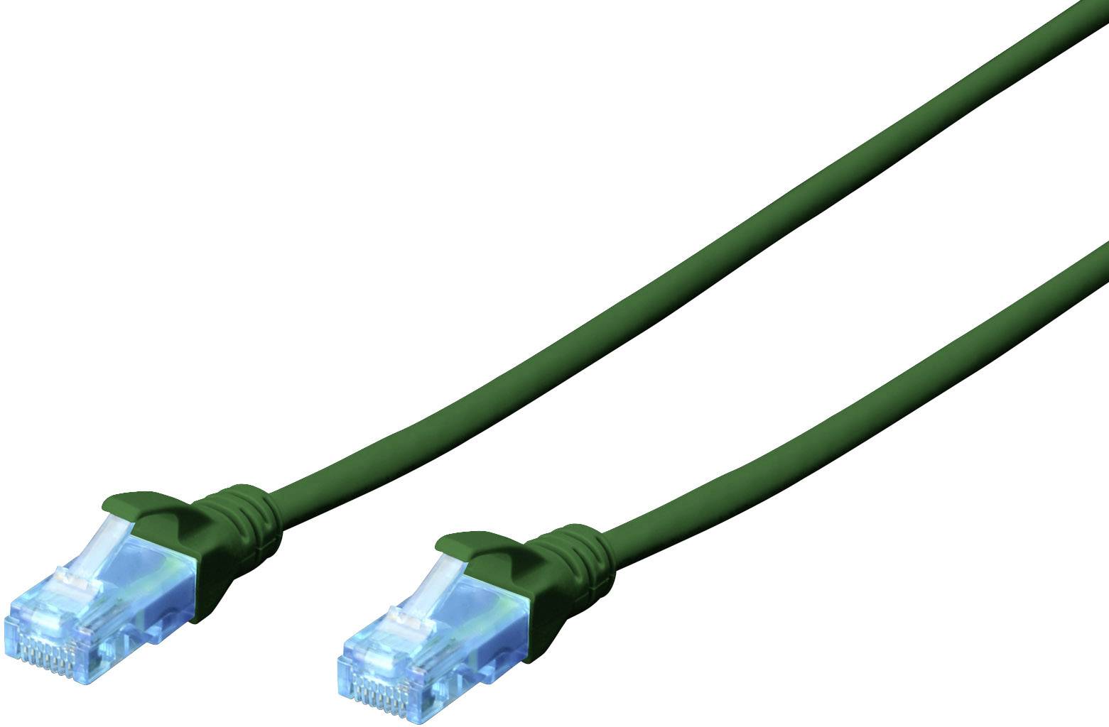 Un câble Ethernet vert avec deux connecteurs RJ45 bleus à chaque extrémité, utilisé pour les connexions réseau.