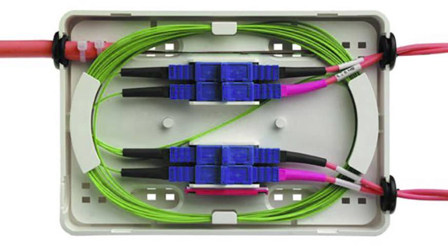 Un boîtier en plastique contenant des câbles à fibres optiques et des connecteurs bleus illustre la configuration pour les transmissions de données dans les réseaux.