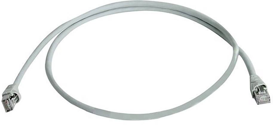 Câble Ethernet blanc avec deux connecteurs RJ45.