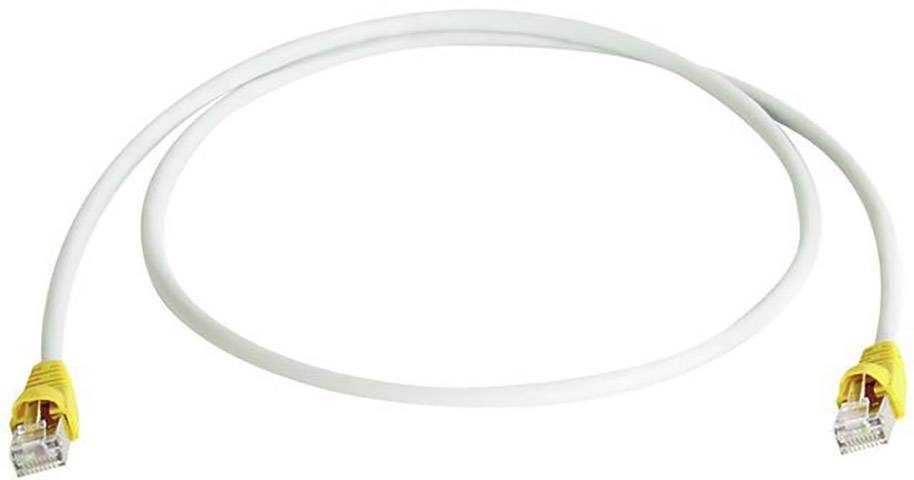 Un câble Ethernet blanc avec des connecteurs jaunes aux deux extrémités, utilisé pour les connexions réseau.