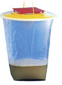 Un piège transparent en plastique avec un couvercle jaune et un liquide au fond pour capturer des insectes.