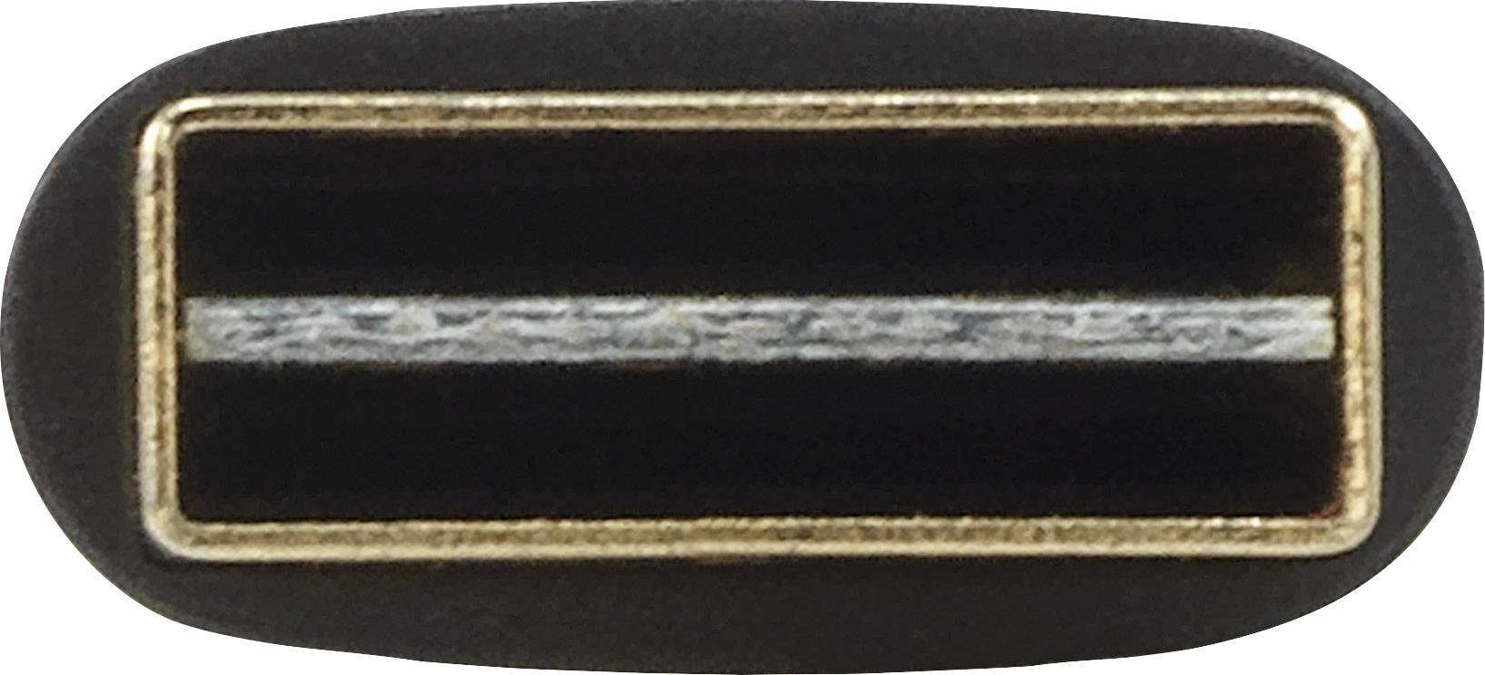 'Gros plan d'un connecteur USB-C de forme ovale avec des bords dorés.'
