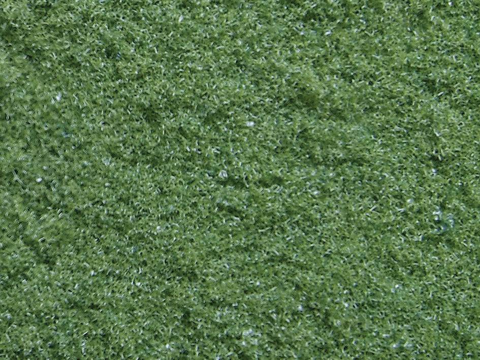 NOCH 07341 Flocage vert clair