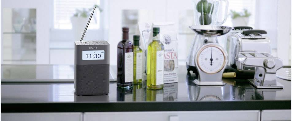 Sony XDR-V20D Radio-réveil DAB+, FM AUX gris