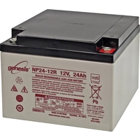 Batterie au plomb 12 V 24 Ah EnerSys Genesis plomb (AGM) (l x H x P) 166 x 125 x 175 mm raccord à vis M5 sans entretien Batterie au plomb 12 V 24 Ah EnerSys Genesis plomb (AGM) (l x H x P) 166 x 125 x 175 mm raccord à vis M5 sans entretien