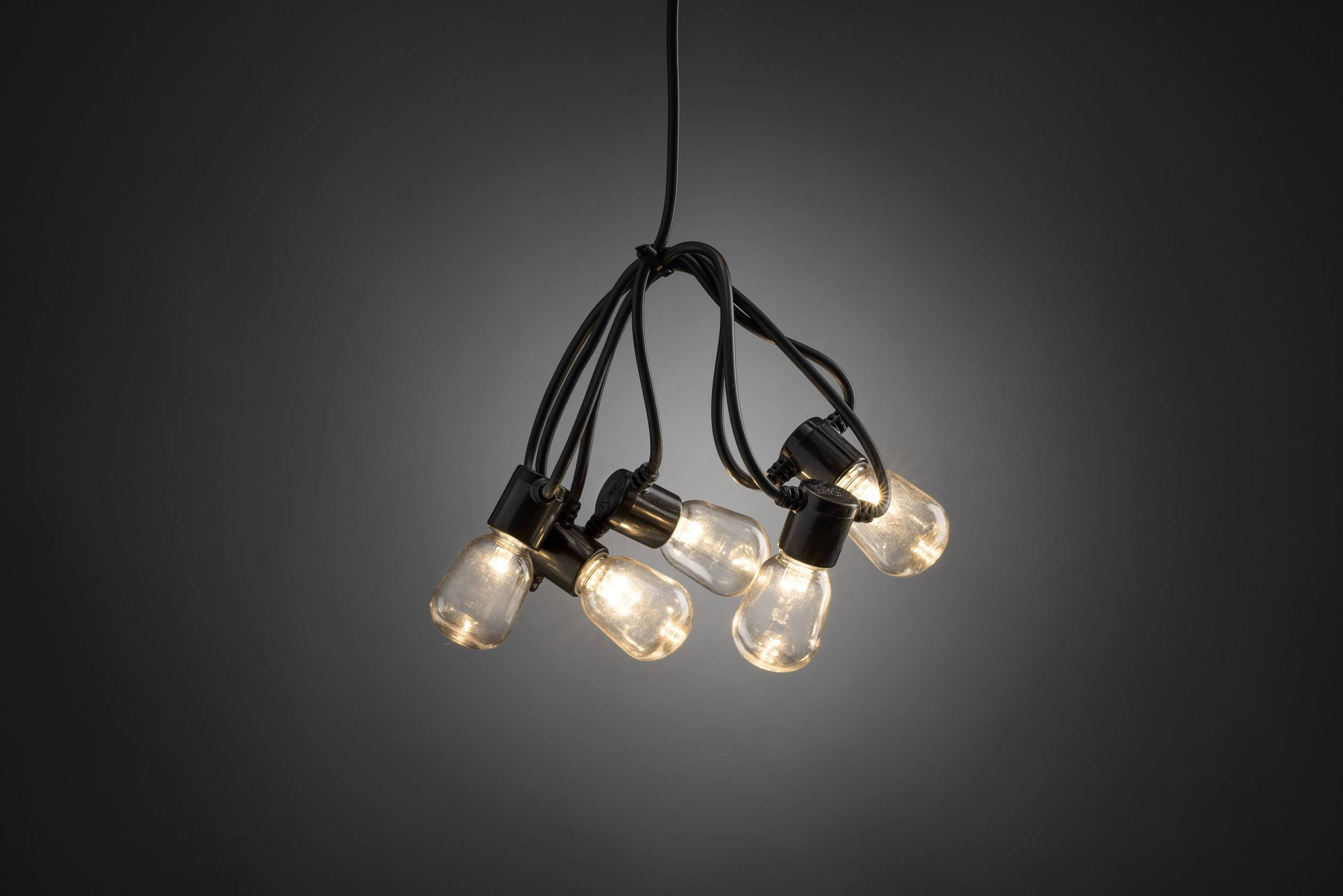 Guirlande lumineuse pour fêtes pour l'extérieur Konstsmide 2386-100 LED N/A 1 pc(s)
