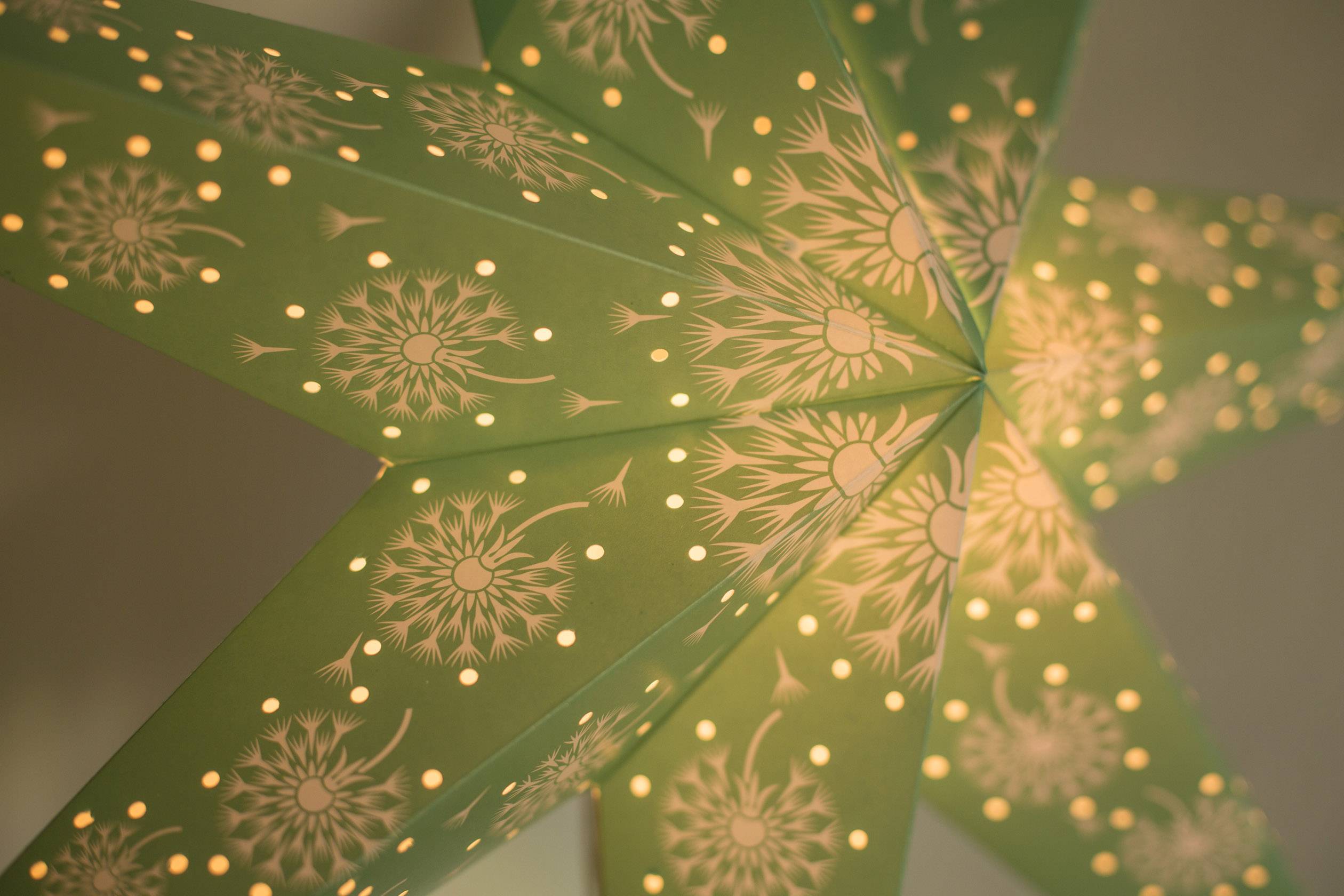 Konstsmide 2933-920 Étoile de Noël Ampoule à incandescence, LED vert avec motifs découpés, avec interrupteur