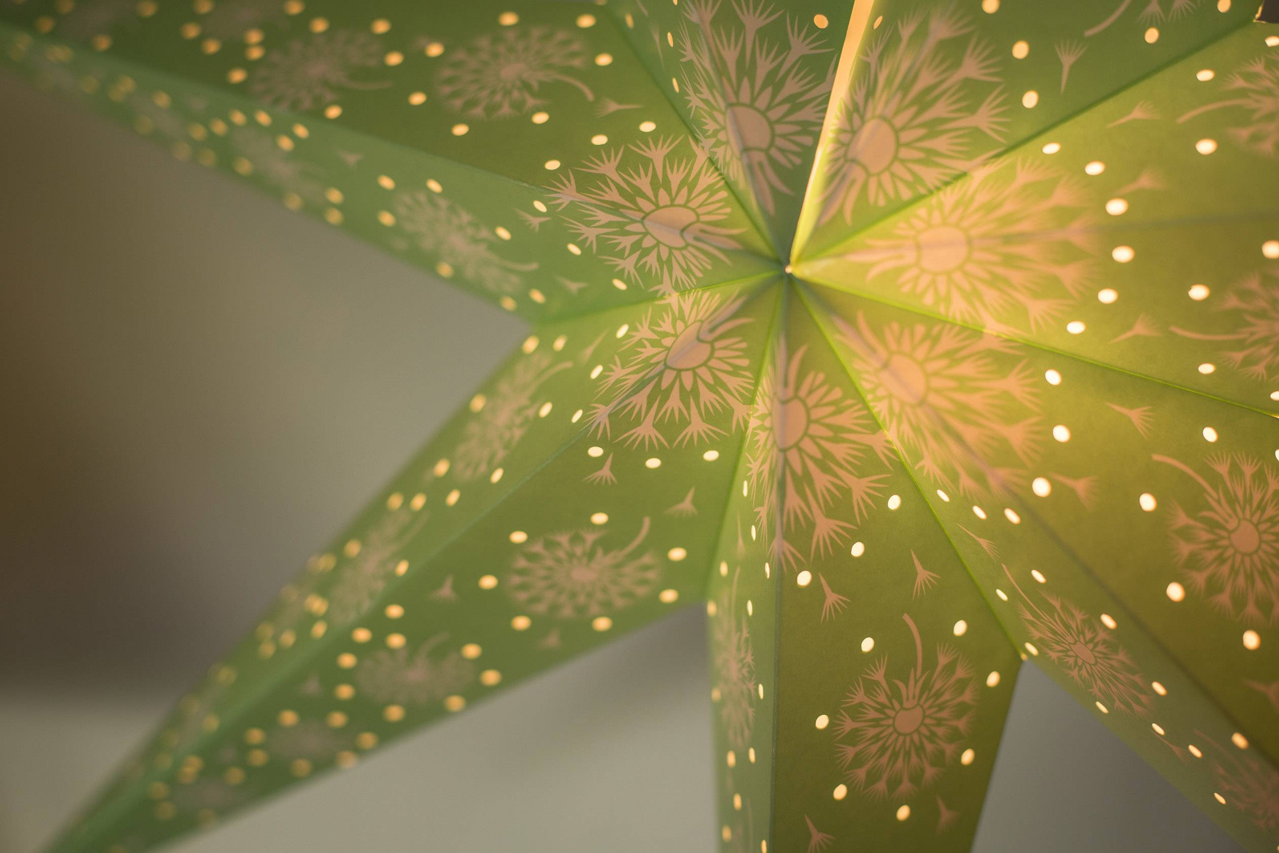 Konstsmide 2933-920 Étoile de Noël Ampoule à incandescence, LED vert avec motifs découpés, avec interrupteur