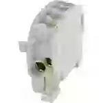 HoraeTec 080110-0-3 Borne de dérivation pour conduite principale PA, laiton gris clair (RAL 7035) 1 pôle 100 A 690 V Type de HoraeTec 080110-0-3 Borne de dérivation pour conduite principale PA, laiton gris clair (RAL 7035) 1 pôle 100 A 690 V Type de