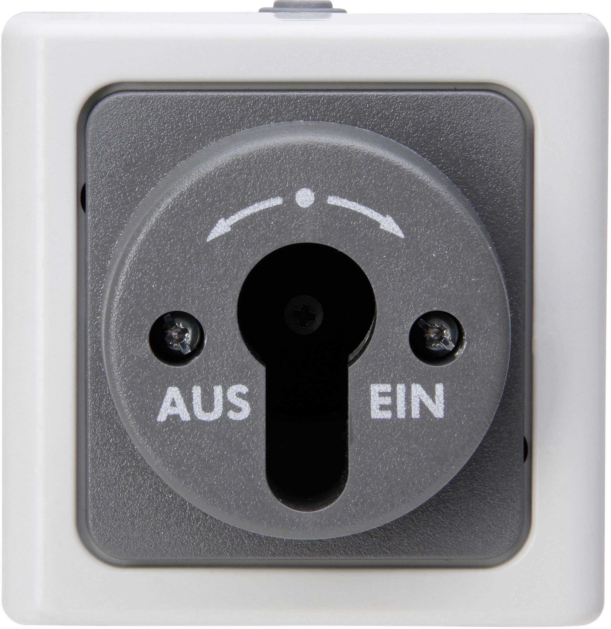 Interrupteur à clé Kopp 561756017 BlueElectric gris