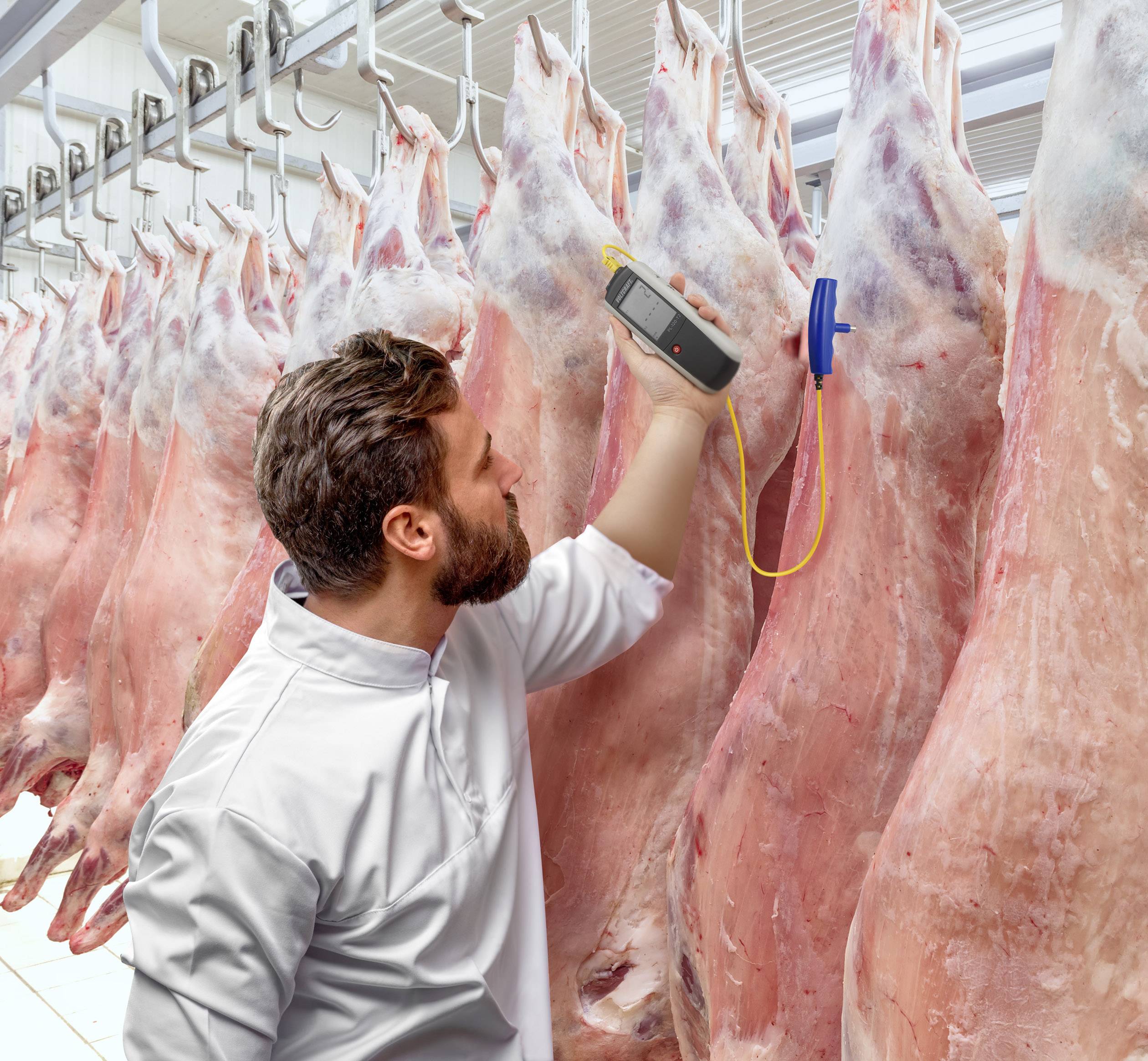 Un homme vêtu de blanc vérifie des demi-carcasses de viande dans une chambre froide à l'aide d'un appareil de mesure. L'environnement semble hygiénique et stérile.