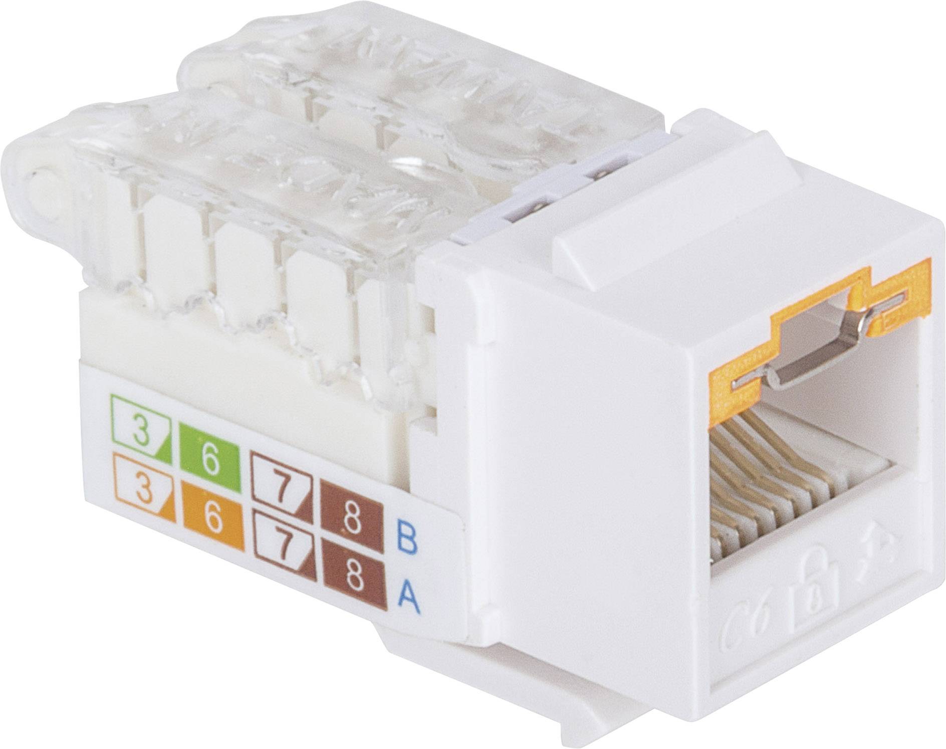Intellinet abschließbare Cat6 Modularbuchse UTP Keystone werkzeuglos weiß Module RJ45 encastrable Keystone CAT 3, CAT 4, CAT