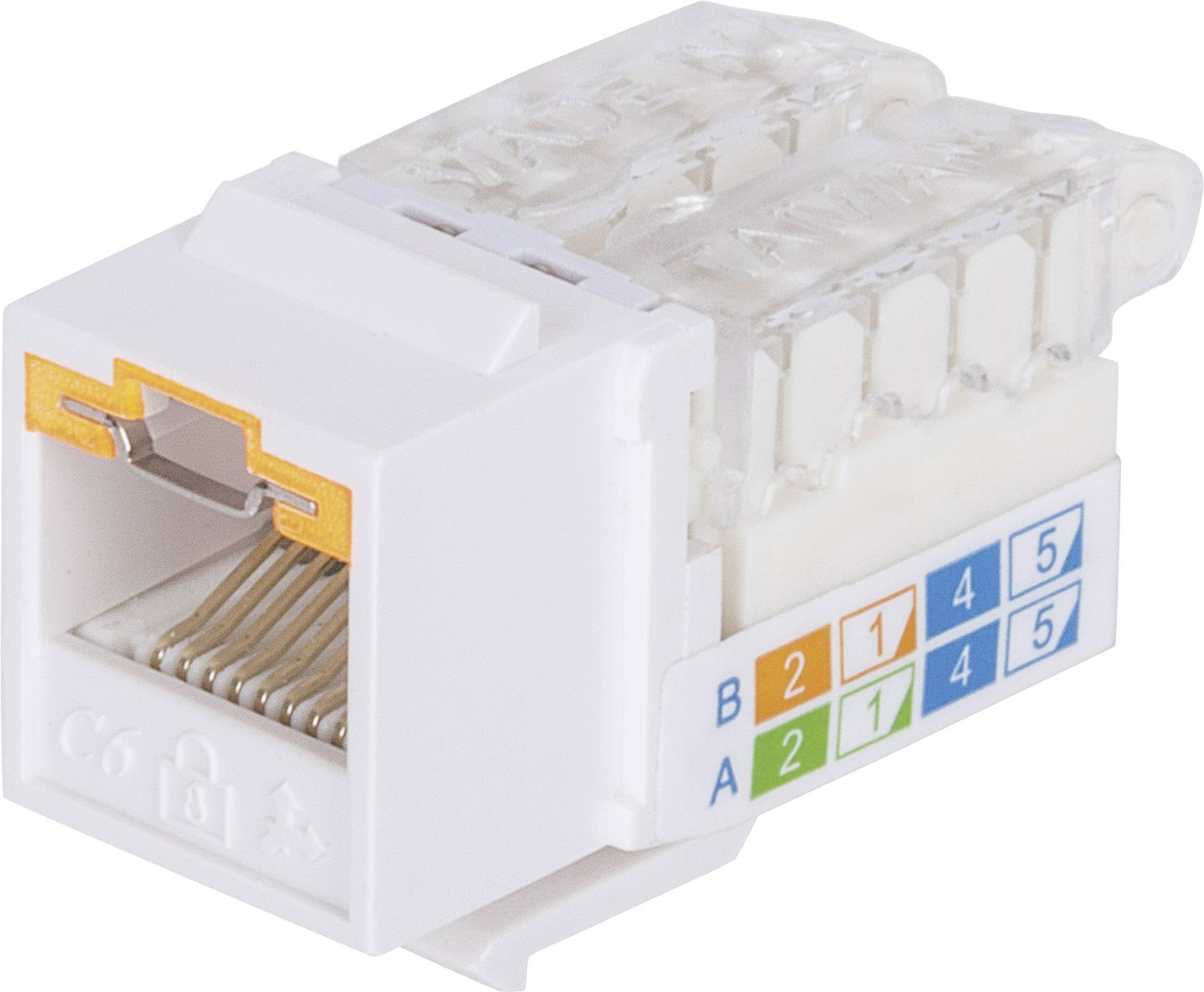 Intellinet abschließbare Cat6 Modularbuchse UTP Keystone werkzeuglos weiß Module RJ45 encastrable Keystone CAT 3, CAT 4, CAT