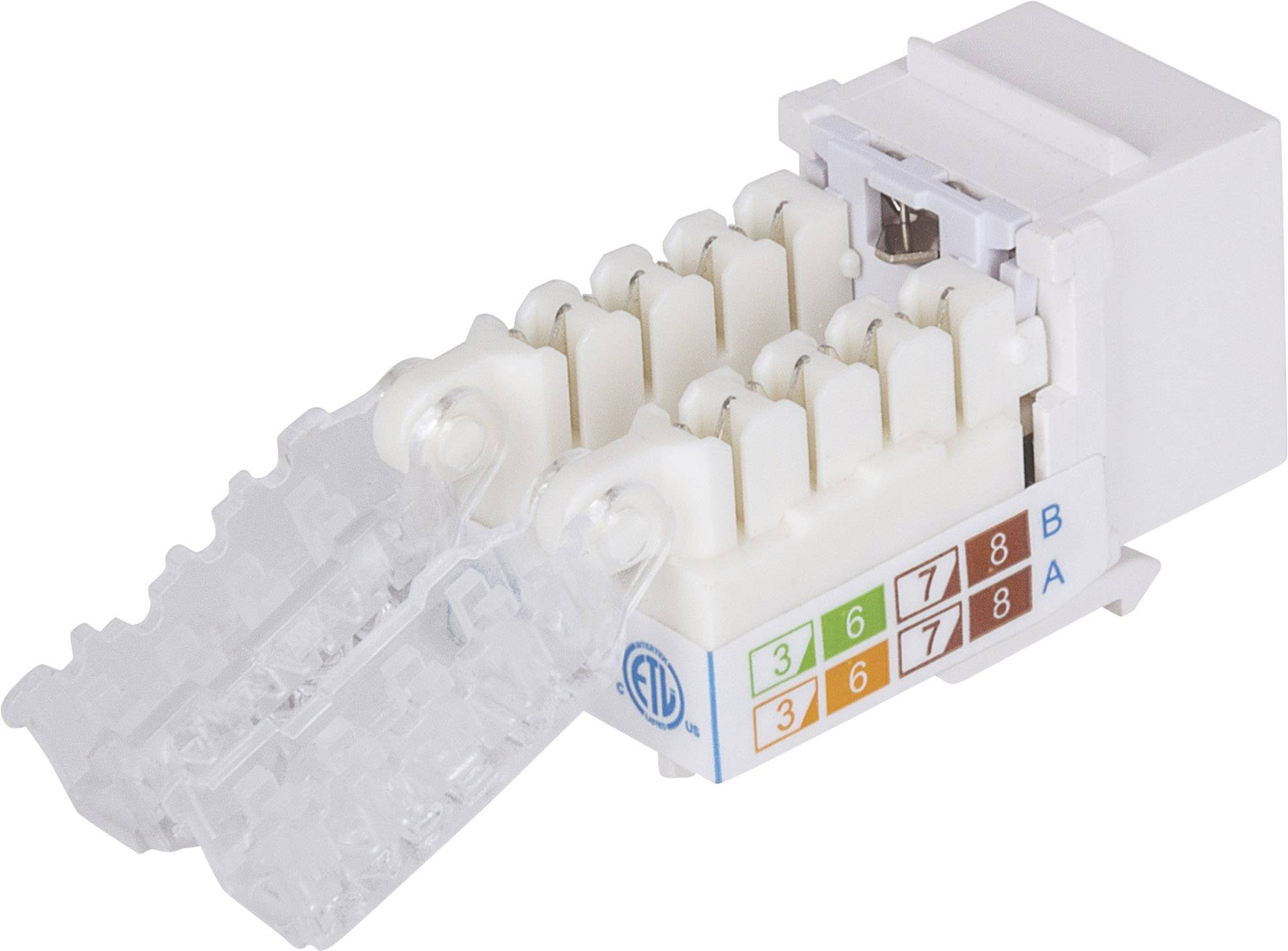 Intellinet abschließbare Cat6 Modularbuchse UTP Keystone werkzeuglos weiß Module RJ45 encastrable Keystone CAT 3, CAT 4, CAT