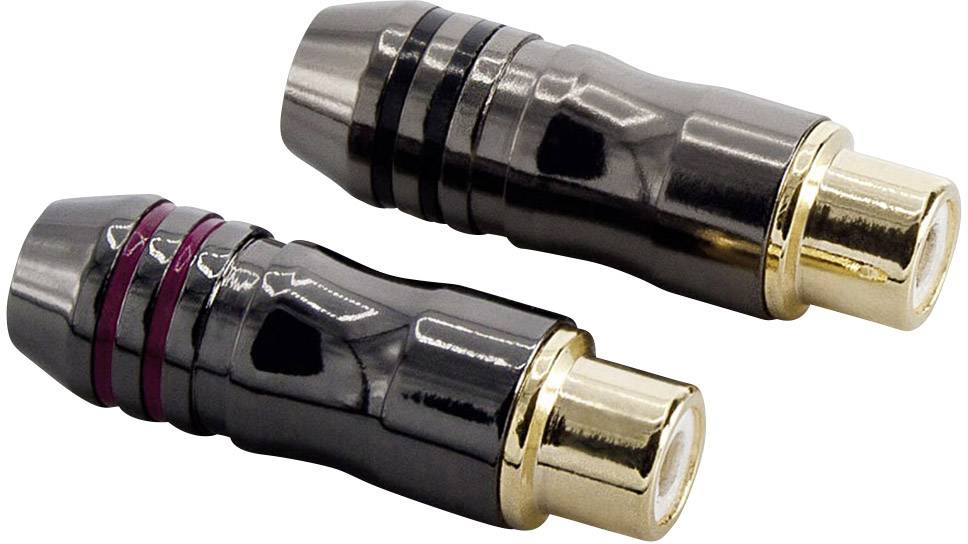 Sinuslive CSF Adaptateur RCA