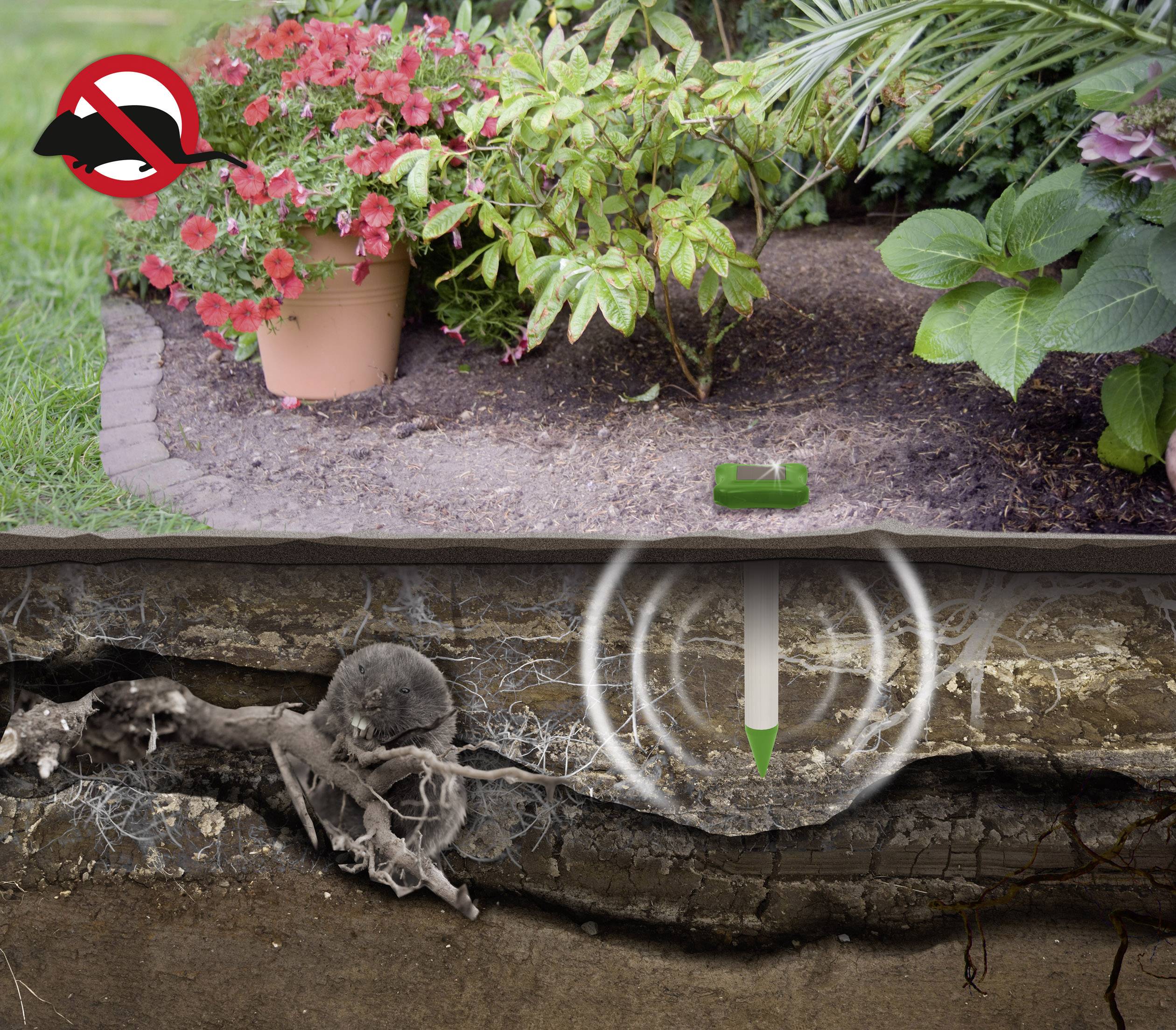 Répulseur de campagnols Gardigo Alu Basic Type de fonctions à vibration Champ d'action 700 m² 1 pc(s)