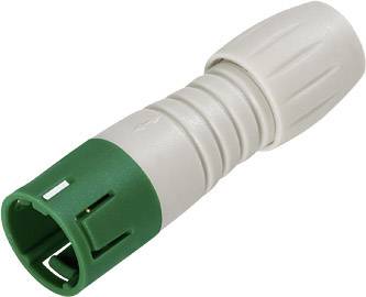 binder 99 9209 470 04 Connecteur circulaire subminiature mâle, droit Nombre total de pôles: 4 1 pc(s)