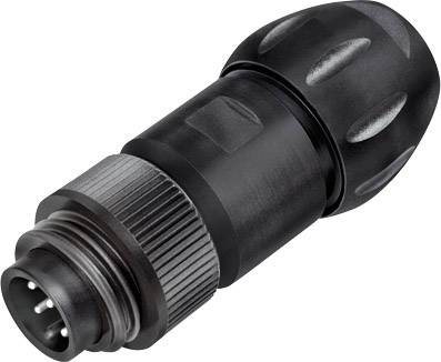 binder 99 4221 300 04 Connecteur circulaire subminiature mâle, droit Nombre total de pôles: 3 + PE 1 pc(s)