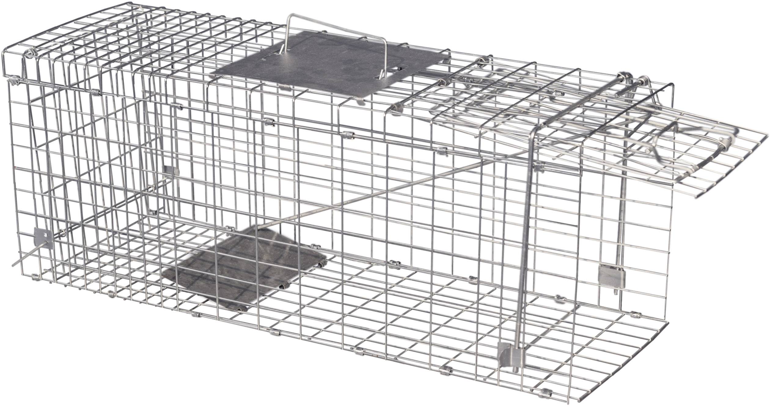 Construction métallique d'un piège vivant avec des parois grillagées et un élément de déverrouillage en haut. Utilisé pour capturer des animaux en toute sécurité.