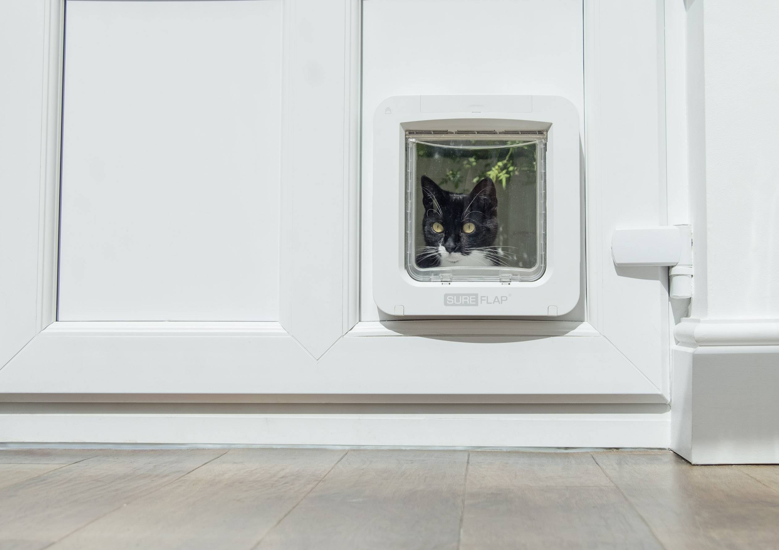 SureFlap Connect Chatière blanc 1 pc(s)