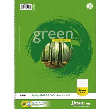 Un cahier vert de format A4 avec 80 feuilles, ligné. Une illustration de forêt sur la couverture. Le produit est fabriqué de manière neutre en carbone.