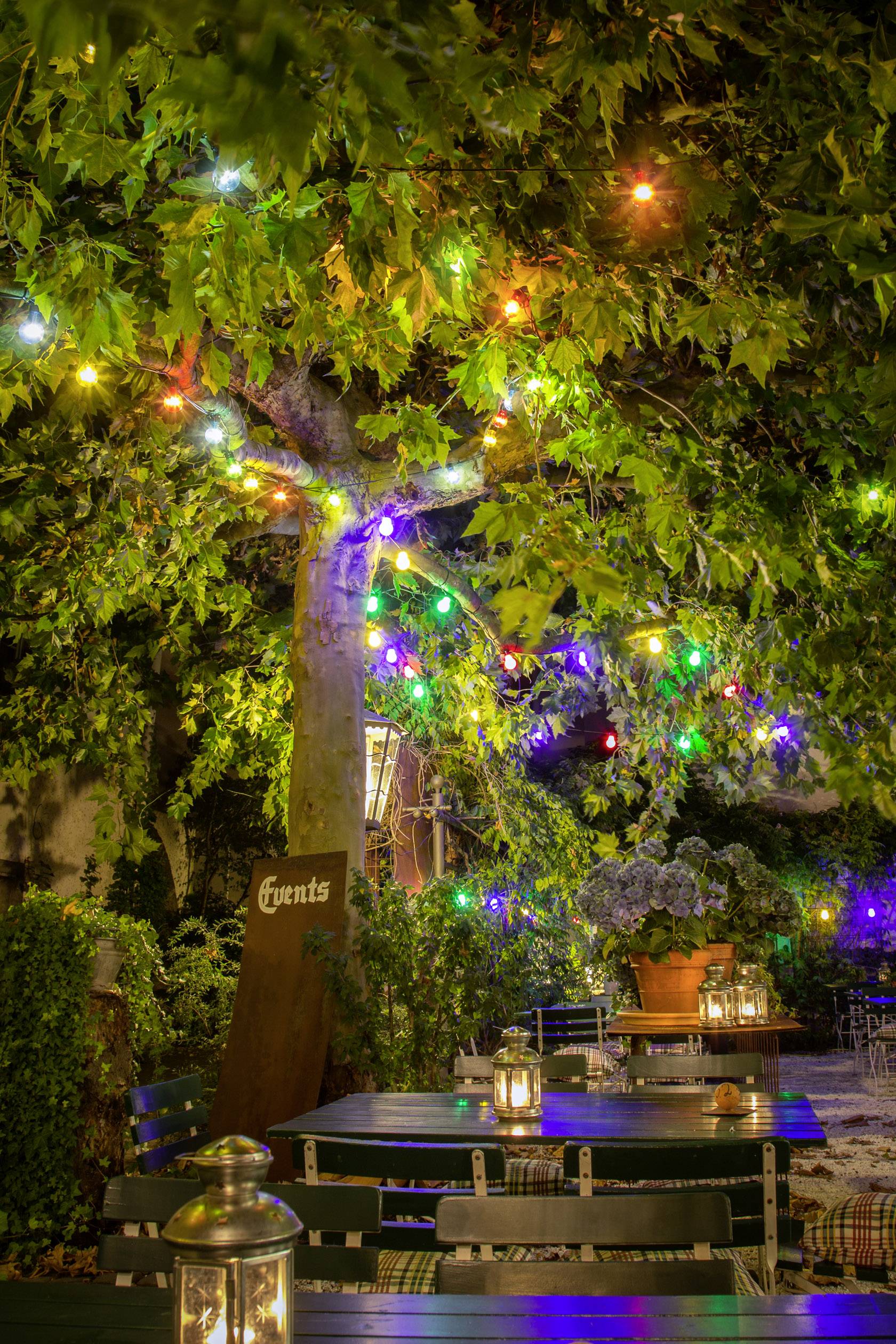 Base pour guirlande lumineuse Konstsmide LED 230 V/50 Hz Guirlande lumineuse blanc chaud