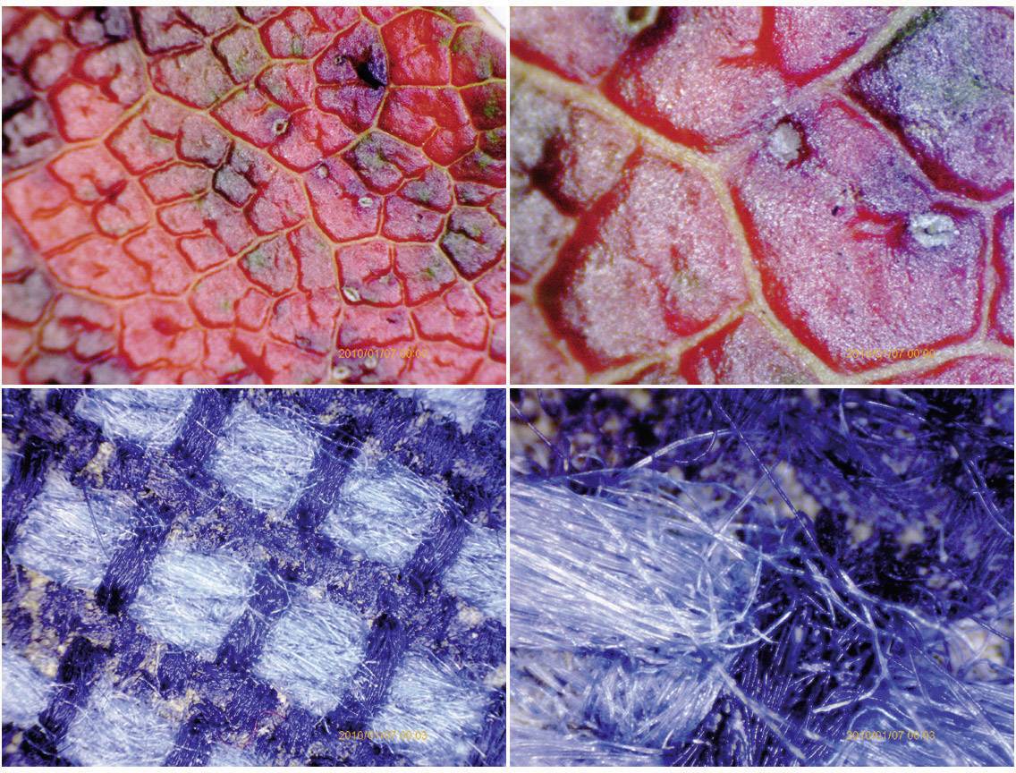 Microscope USB TOOLCRAFT avec moniteur 5 Mill. pixel Grossissement numérique (max.): 500 x