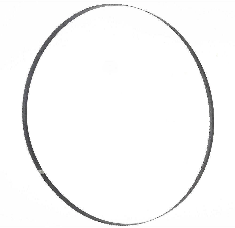 Lame de scie à ruban 1575x10x0,36 mm 6 ZpZ Holzmann Maschinen BSB230B10 N/A