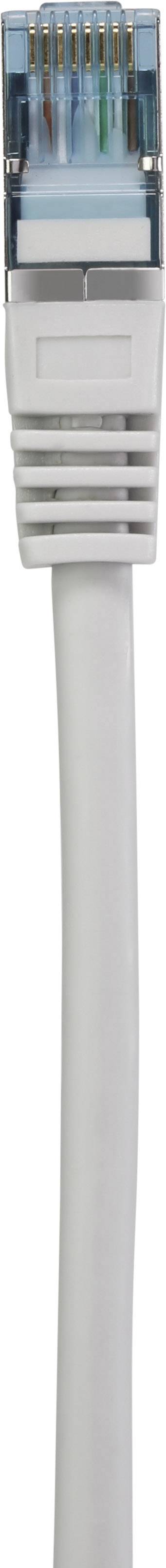 Câble réseau avec connecteur RJ45, vue de face.