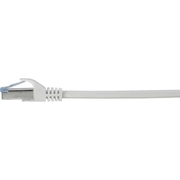 Renkforce RF-5191008 RJ45 Câble réseau, câble patch CAT 6a S/FTP 30.00 m gris ignifuge, avec cliquet d'encastrement 1 pc(s) Renkforce RF-5191008 RJ45 Câble réseau, câble patch CAT 6a S/FTP 30.00 m gris ignifuge, avec cliquet d'encastrement 1 pc(s)