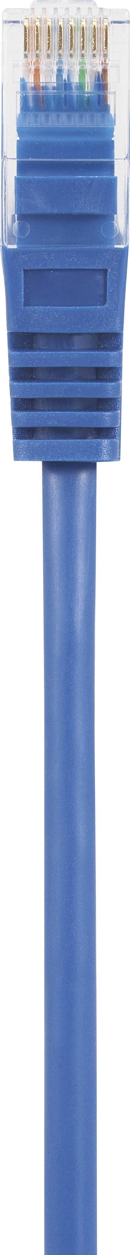 Câble Ethernet bleu avec connecteur RJ45, utilisé pour les connexions réseau et la transmission de données.