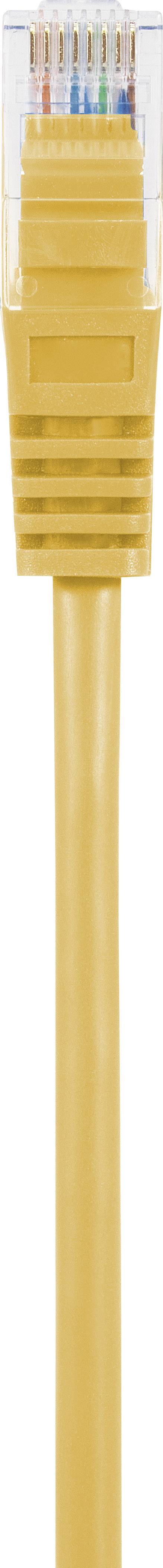 Un câble Ethernet jaune avec un connecteur transparent, utilisé pour les connexions réseau.
