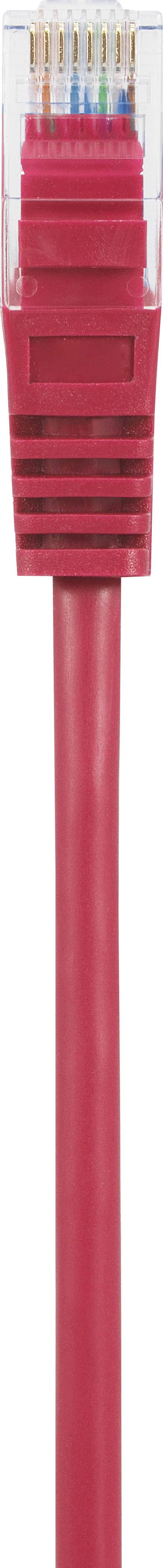 Un câble Ethernet rouge avec une prise transparente, utilisé pour les connexions réseau.