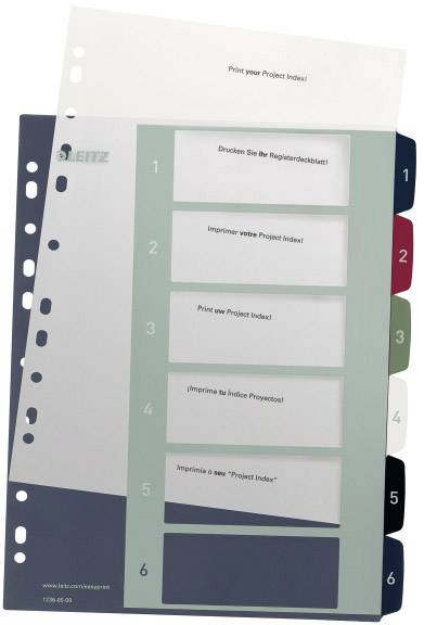 Intercalaires avec index numéroté de 1 à 6 dans différentes couleurs ; des espaces sont prévus pour écrire dans plusieurs langues.