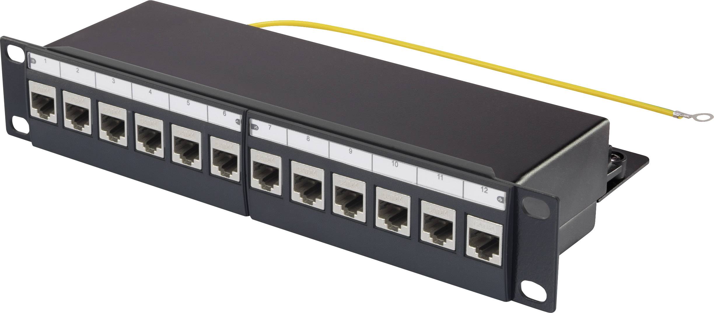Box de brassage Renkforce KS10 12 ports CAT 6a 1 UH