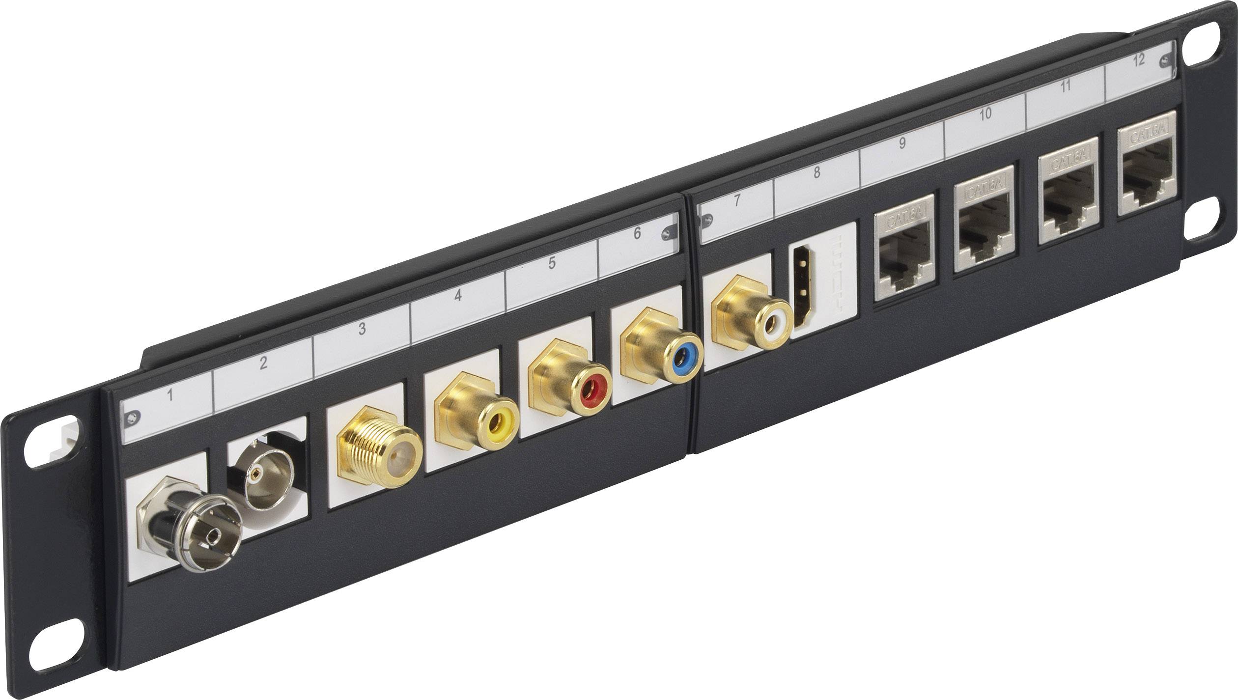 Box de brassage Renkforce KS10 12 ports CAT 6a 1 UH