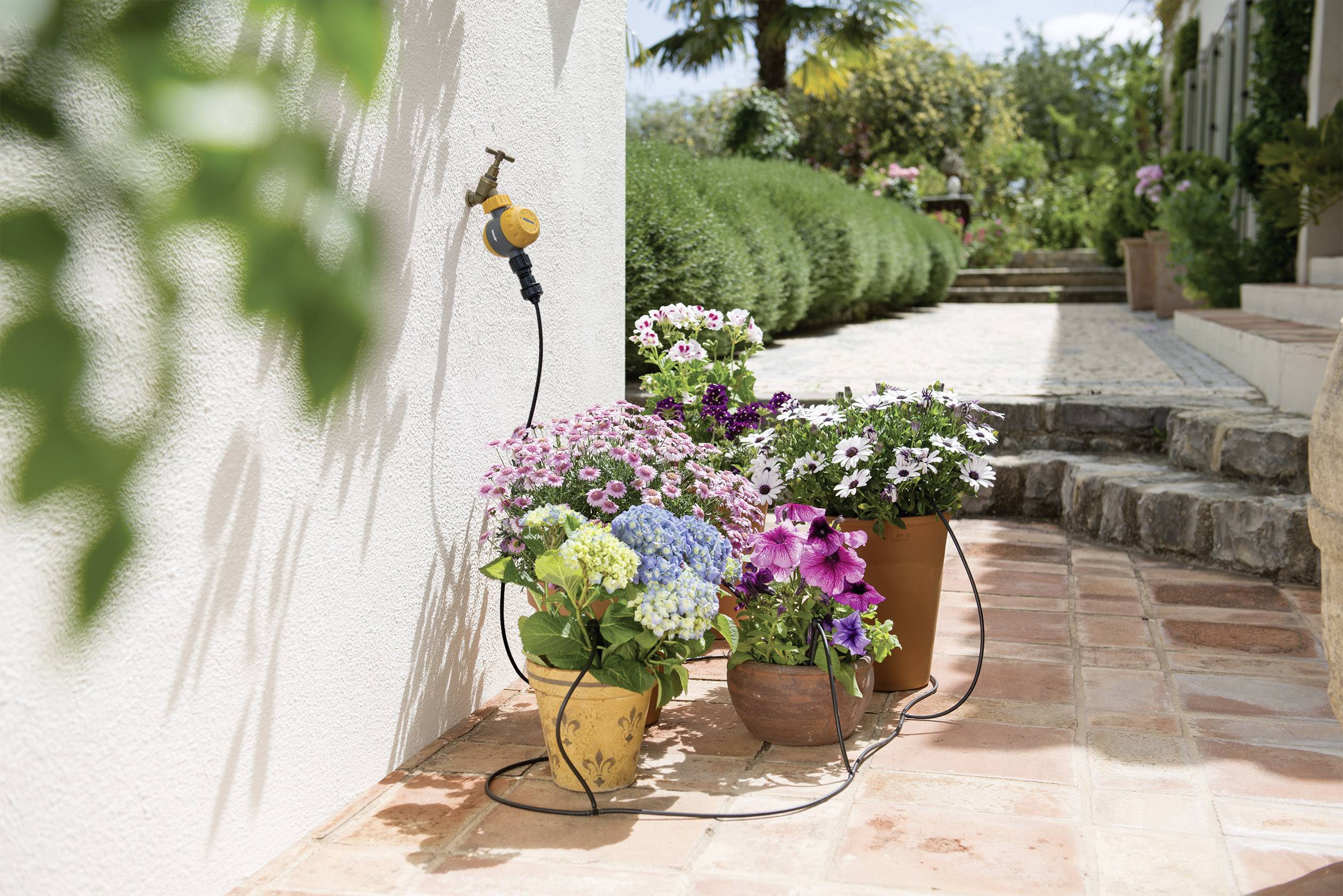 Pots de fleurs avec des plantes colorées sur une terrasse près d'un mur, avec un tuyau d'arrosage à proximité. Un chemin de jardin est visible en arrière-plan.