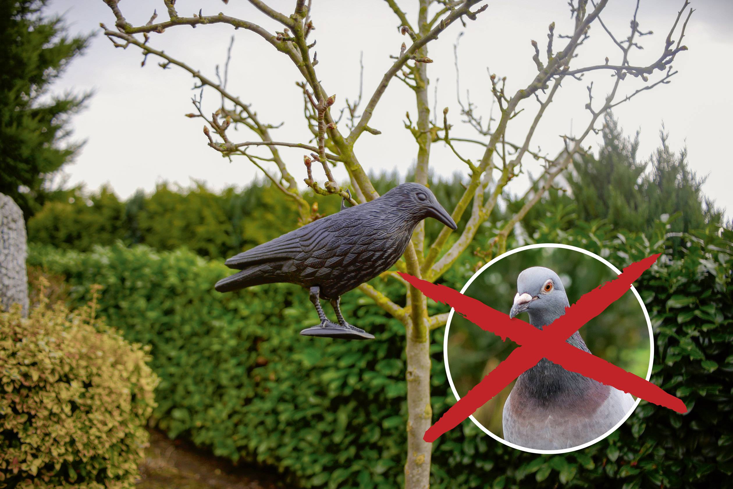 Corbeau anti-pigeons Gardigo crow Type de fonctions effet dissuasif 1 pc(s)