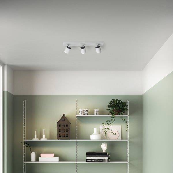 Un salon minimaliste avec un mur vert, des étagères blanches, des objets décoratifs et une petite plante.