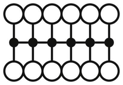 Un diagramme composé de deux rangées de cinq cercles, reliés par des lignes verticales et horizontales, illustre un réseau interconnecté.