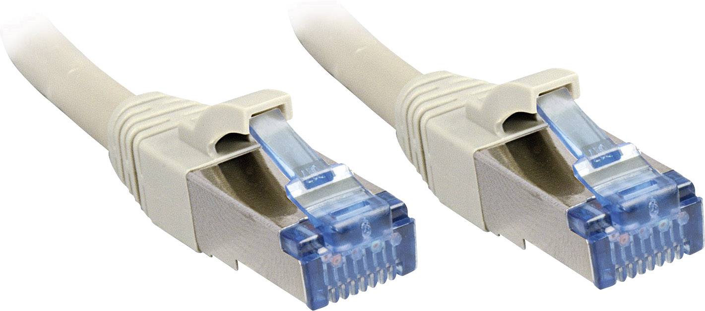 Deux câbles Ethernet beiges avec des connecteurs bleus, posés côte à côte.