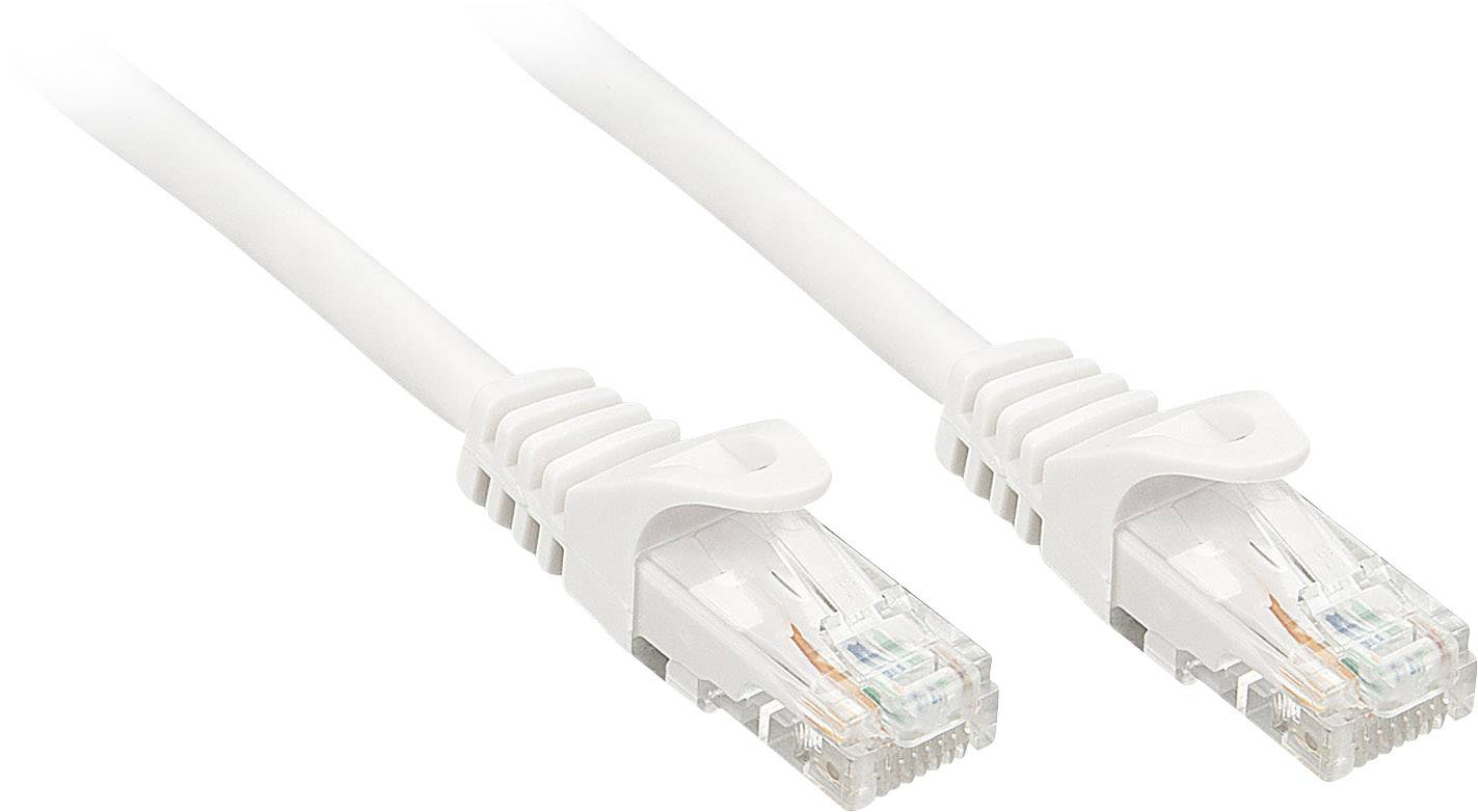 Deux câbles Ethernet blancs avec fiches RJ45. Ils servent à établir des connexions réseau pour ordinateurs et autres appareils.