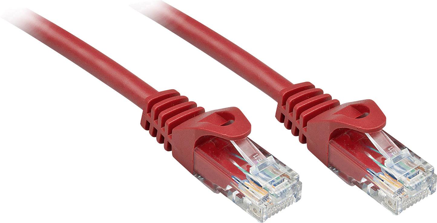 Deux câbles Ethernet rouges munis de connecteurs transparents sont disposés côte à côte. Ils servent à établir une connexion réseau et à transmettre des données.
