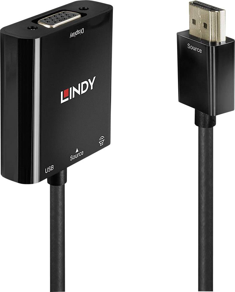 Un câble adaptateur avec des connecteurs USB et DisplayPort, de la marque 'Lindy', est présenté. Il sert à connecter des sources DisplayPort à des écrans VGA.