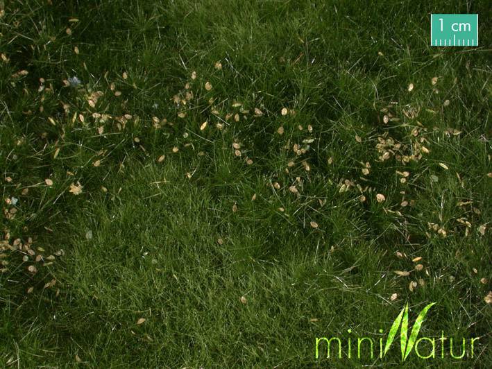 Mininatur 734-22 S Tapis de décoration Prairie herbeuse