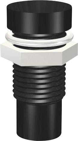 'Représentation schématique d'un connecteur cylindrique noir fileté, avec un écrou hexagonal blanc et un joint d'étanchéité.'