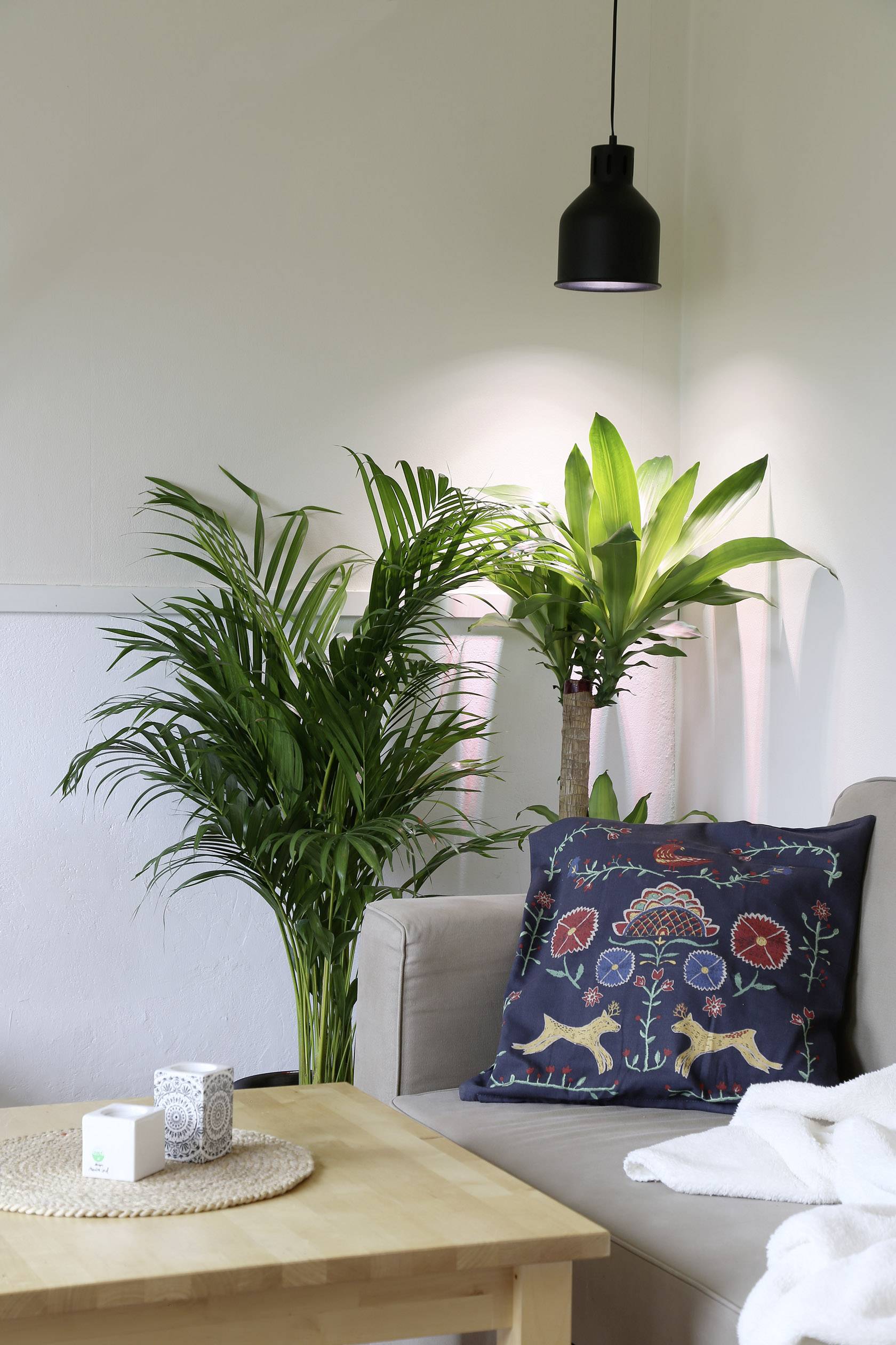 Venso Abat-jour Saga 22 cm 230 V E27 18 W 1 pc(s)