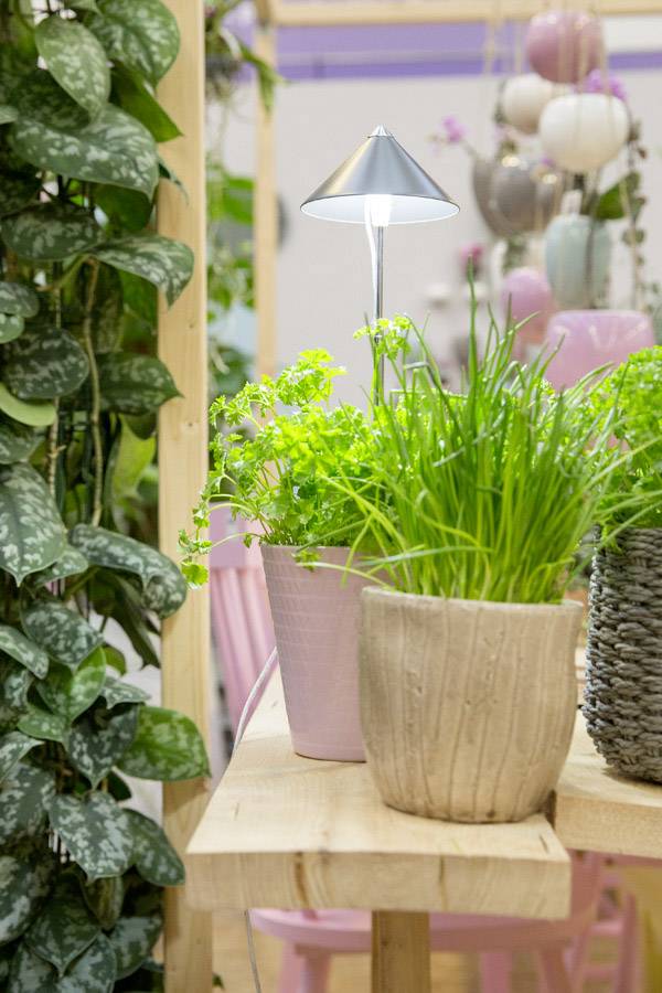 Venso Ampoule LED pour plantes SUNLiTE LED intégrée 7 W blanc neutre 1 pc(s)