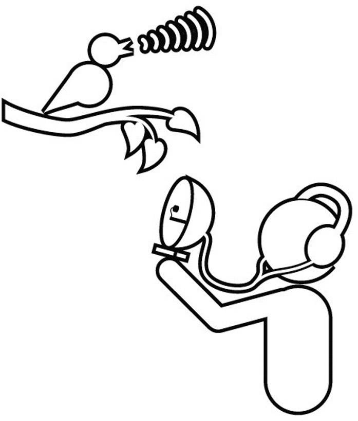 Préamplificateur (kit à monter) Kemo B085 9 V/DC 8 Ω 1 pc(s)