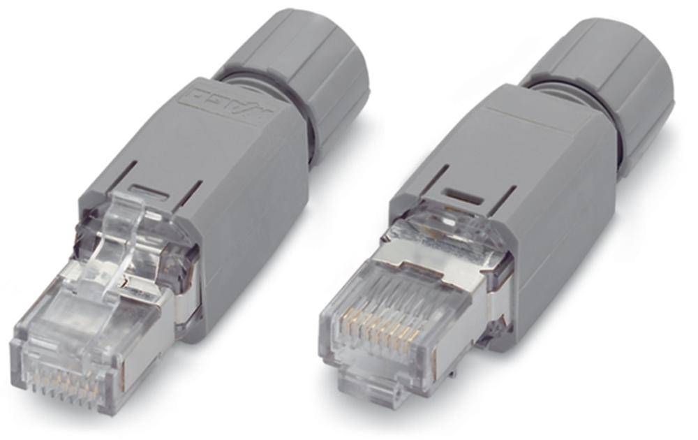 Deux fiches Ethernet grises en plastique avec des connecteurs RJ45 transparents, sur un fond blanc.